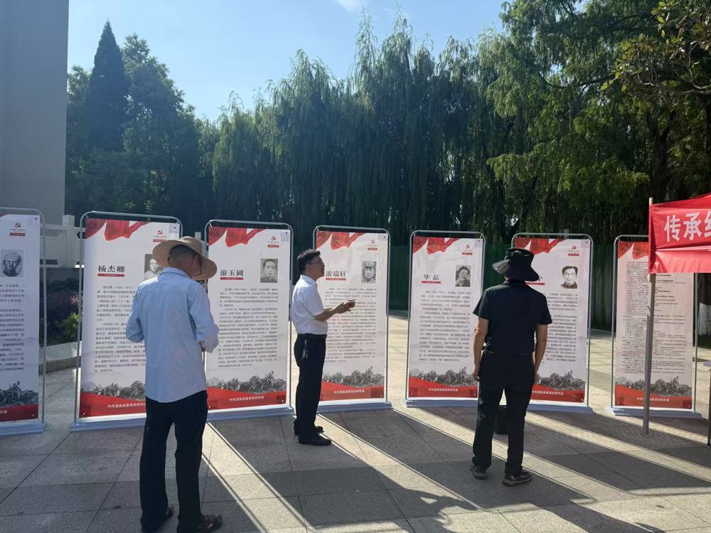 图片3
